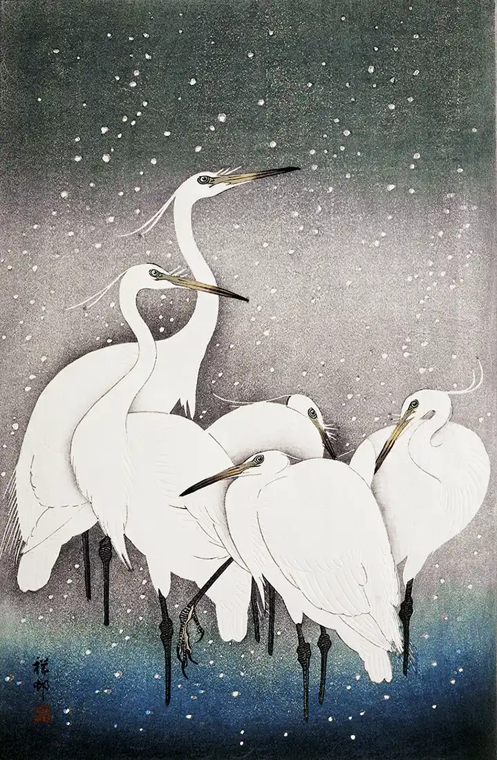 Group of Egrets